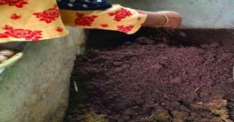 রাণীশংকৈলে কেঁচো সার উৎপাদন করে বেকারত্ব দূর করছে কৃষাণীরা